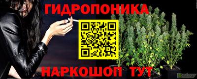 гашик Балахна